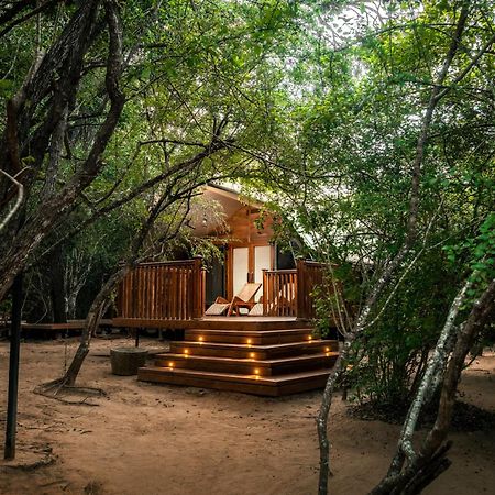 Leopard Reach Yala By Seven Angels Tissamaharama Exterior foto