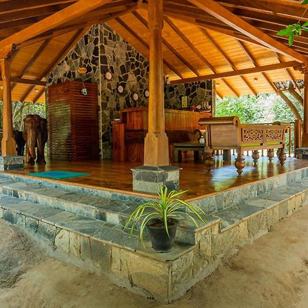 Leopard Reach Yala By Seven Angels Tissamaharama Exterior foto