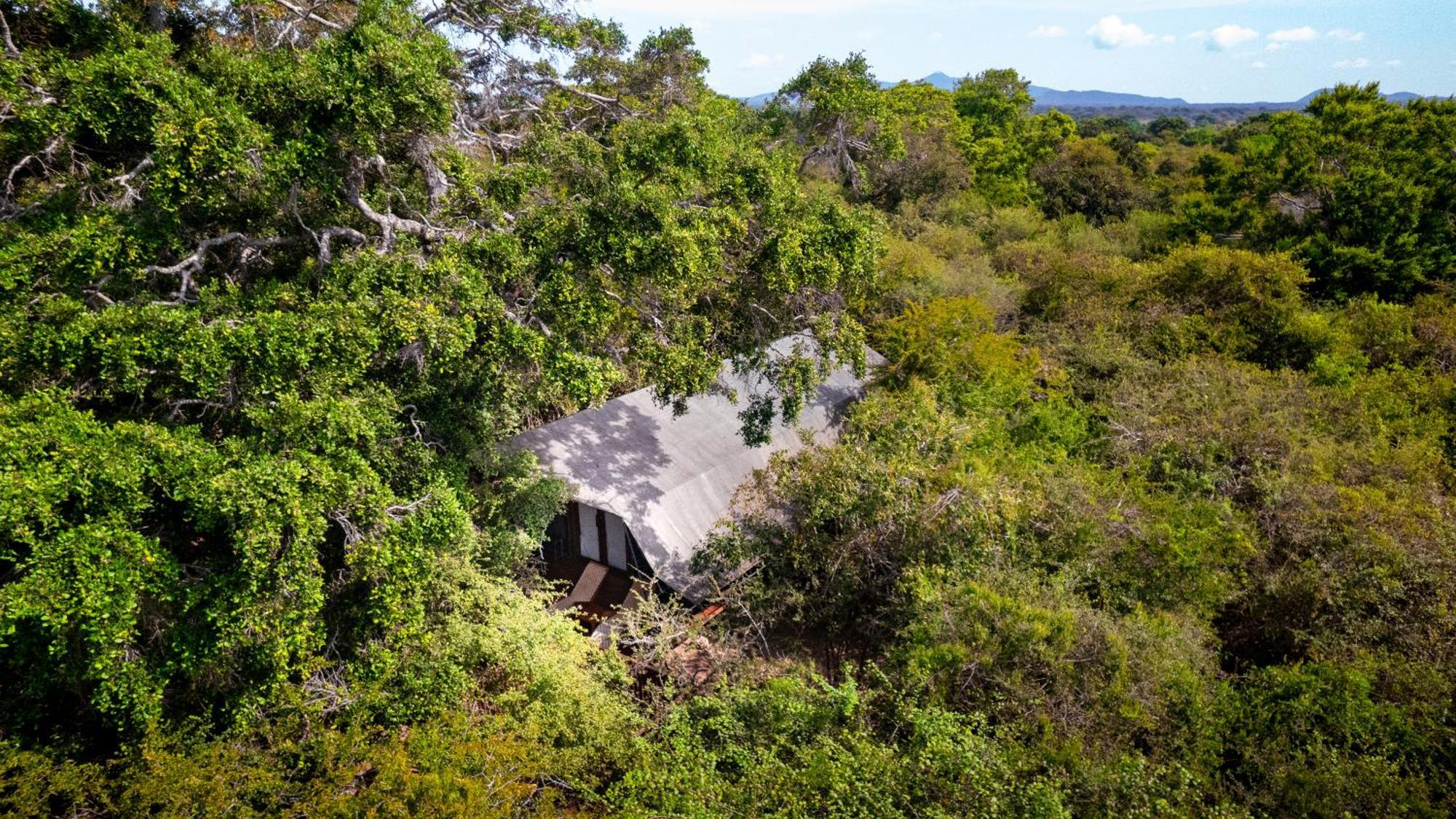 Leopard Reach Yala By Seven Angels Tissamaharama Exterior foto